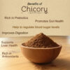 Chicory Benefits